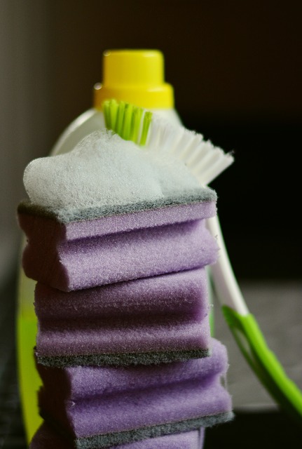 Yoli's Clean and Tidy cleaning professionals at work
