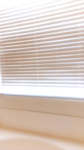 Clean windows after professional window cleaning service